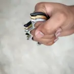 Brass Knuckles Spikes Punch